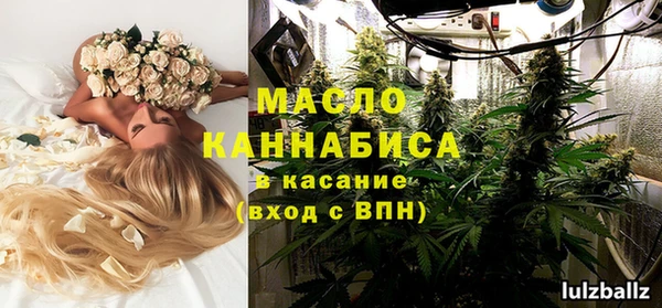 твердый Медногорск