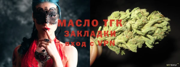 твердый Медногорск