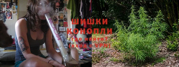твердый Медногорск