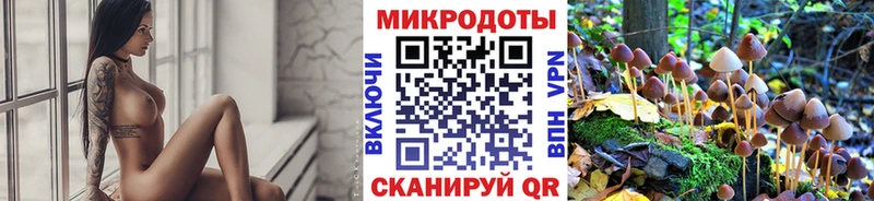 Псилоцибиновые грибы GOLDEN TEACHER  где найти   Артём 